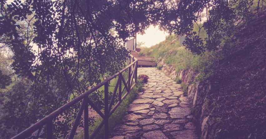 Terméskő járda a kertépítés tökéletes választása